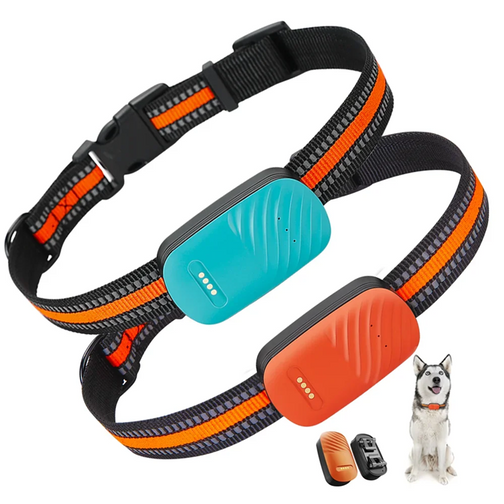 Pet Gadgets